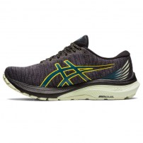 Кросівки для бігу чоловічі Asics GT-2000 11 GTX Black/Ink Teal